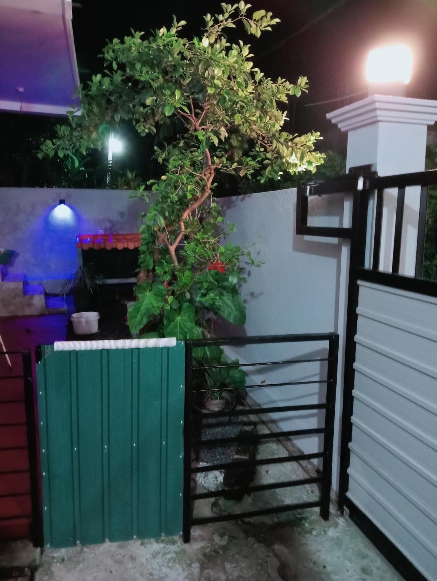Great Yeheni Villa Hikkaduwa Exterior foto